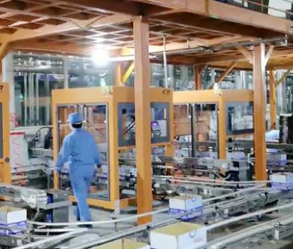 装箱码垛生产线 Packing and palletizing production line